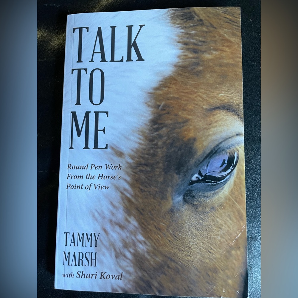 Talk to Me Book by Tammy Marsh